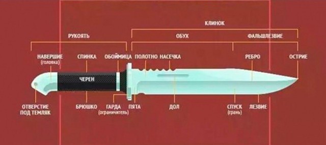 19 важных, нужных и познавательных шпаргалок, которые могут пригодиться в жизни