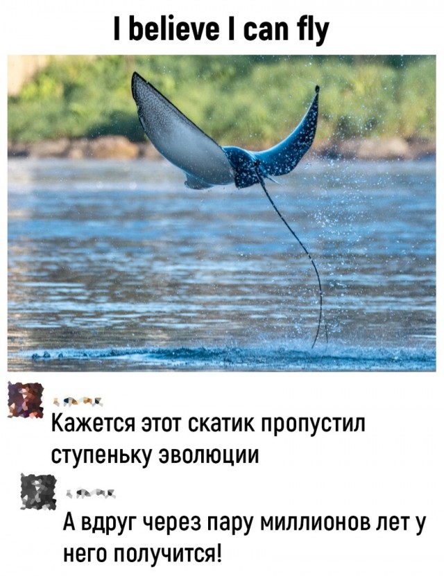Так себе картинки 11.06.22