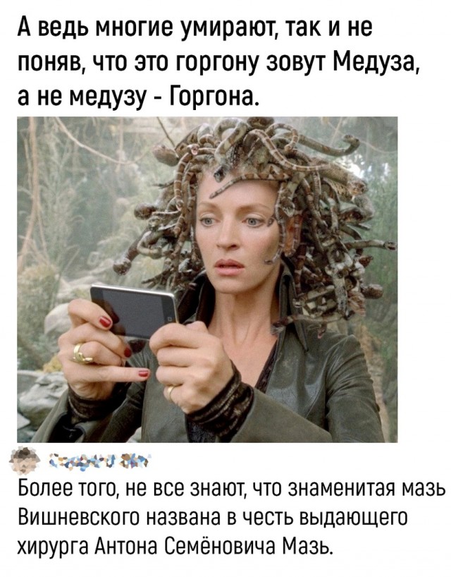 Так себе картинки 15.07.22