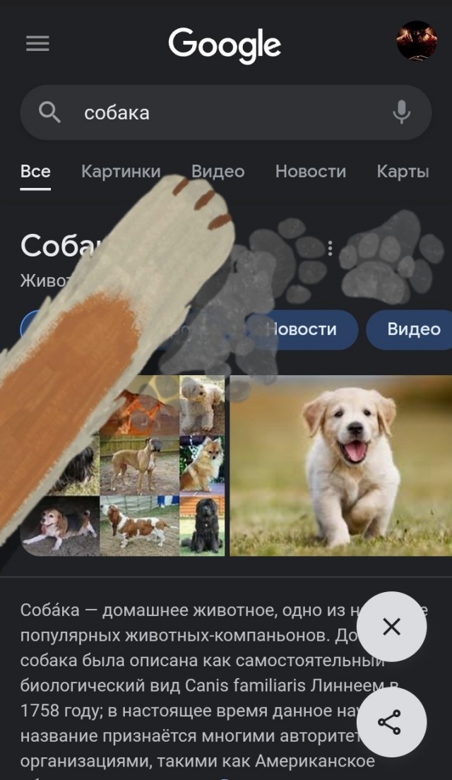Пасхалка из Google