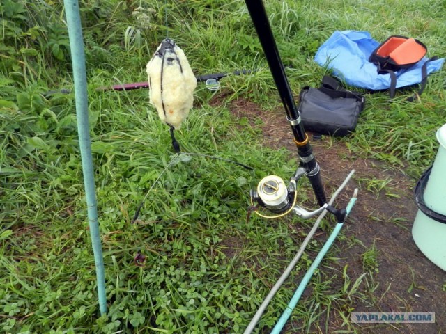 Рыбалки псто