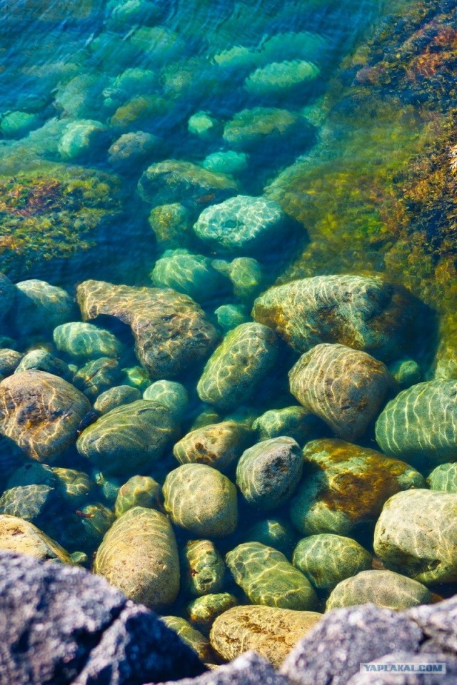 Териберка и окрестности...