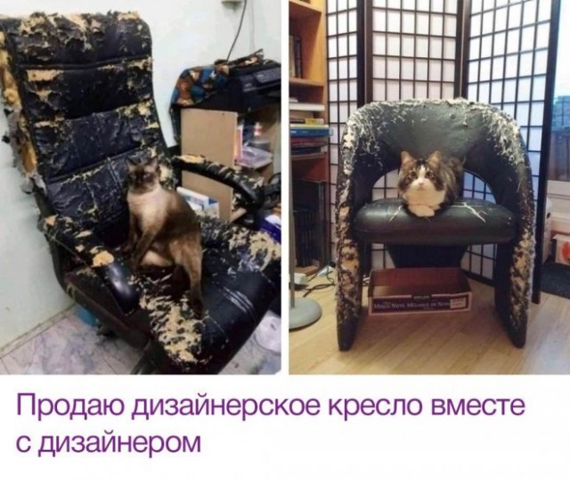 Картинки и мемы. Выходные близко...