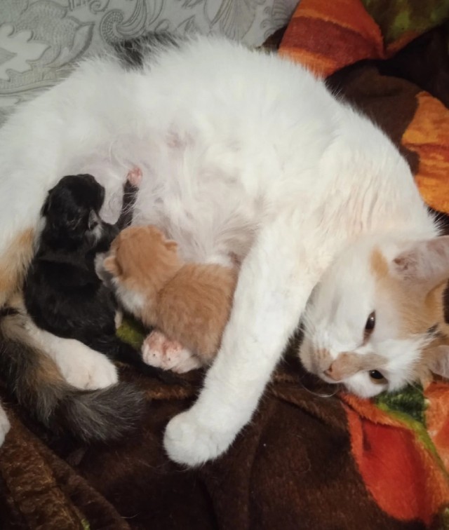 А у нас пополнение