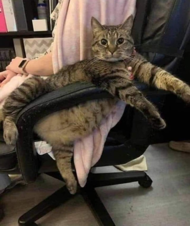 Просто фотографии