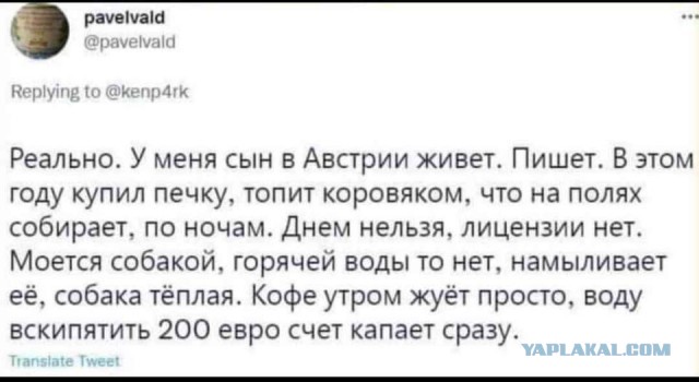 Размышления о свободе