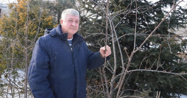 Хабаровские селекционеры вывели сверхзимостойкие сорта абрикоса