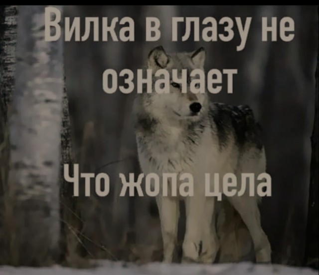 Как я чифир завариваю