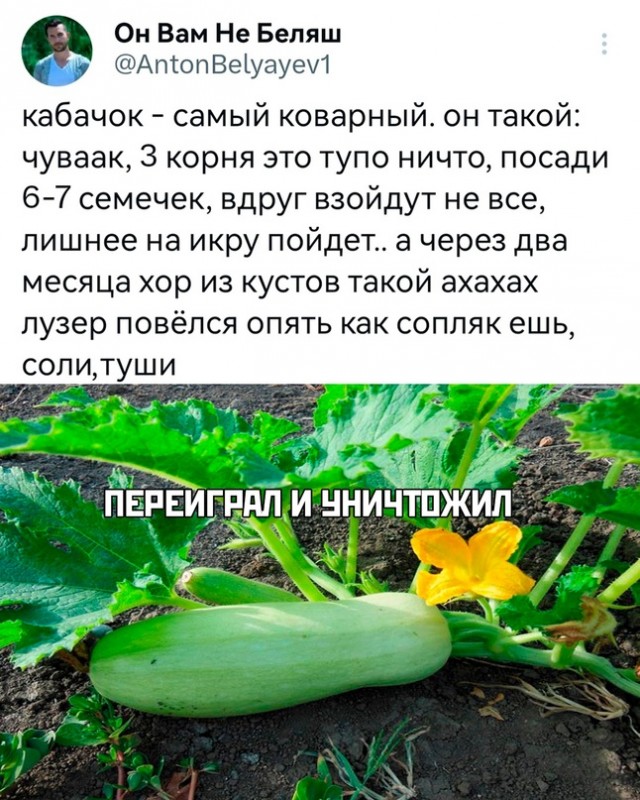 Картинки и мемы для настроения - 181