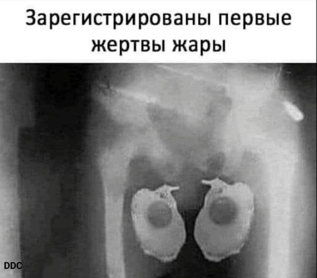 Народная меДИЧина 1012