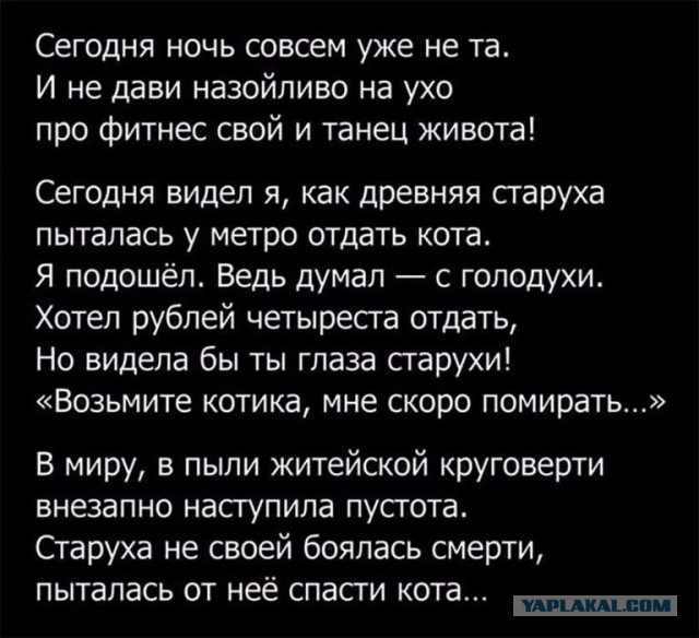Им не нужны слова