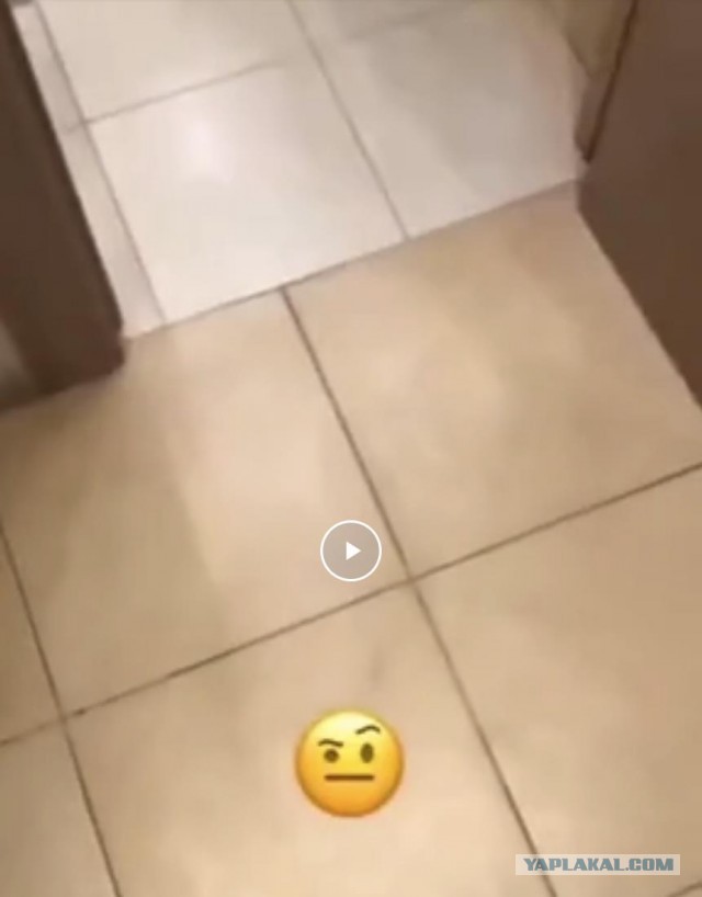 Крик души