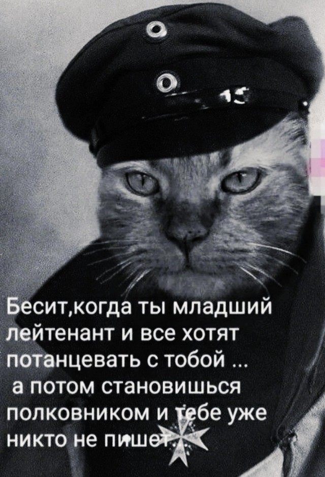 Немного наркомании и шизофрении в ленту