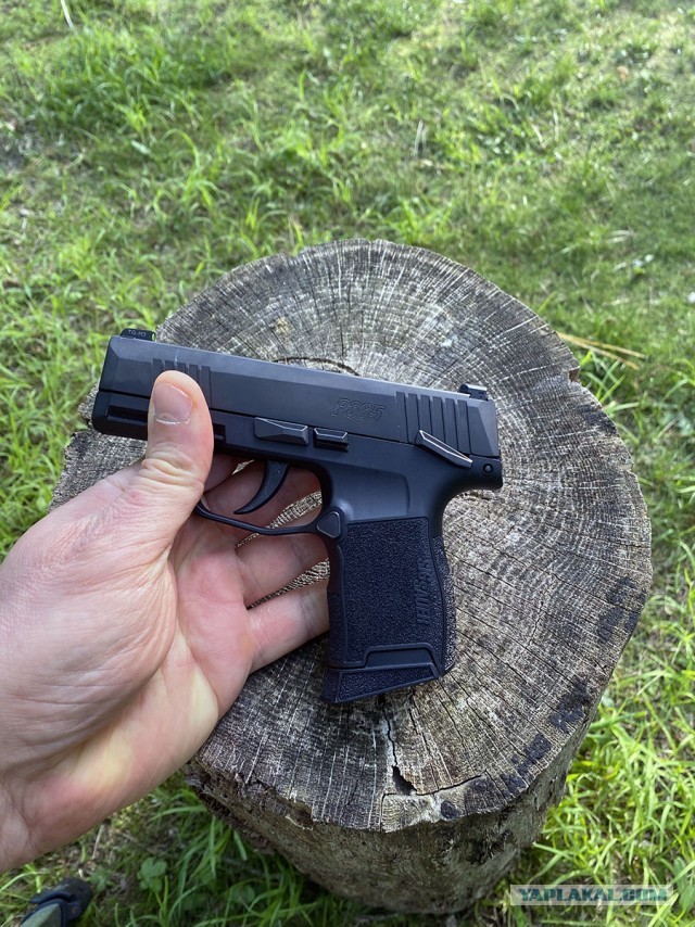 Sig Sauer P365
