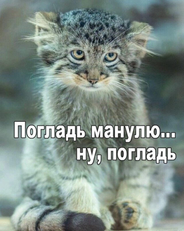 ФотоВинегрет