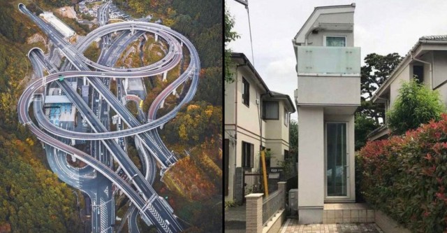 Фотографии из жизни настоящей Японии: демонстрация того, насколько диковинна эта страна. Какие единоборства она открыла миру.