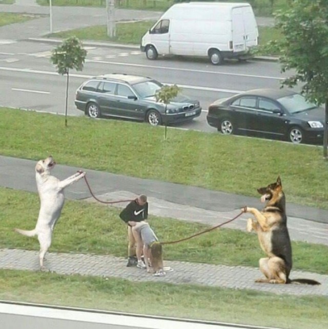 Типичный Питер уже не тот ...