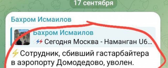 Сообщают об увольнении сотрудника аэропорта Домодедово, который заступился за девушек