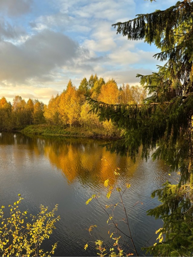 Прикольные и просто красивые картинки 04.10.2024