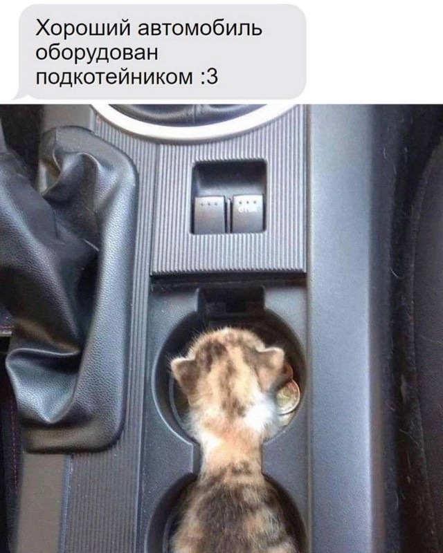 19465775.jpg
