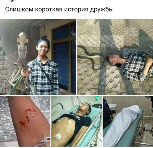 Так себе картинки 02.12.24