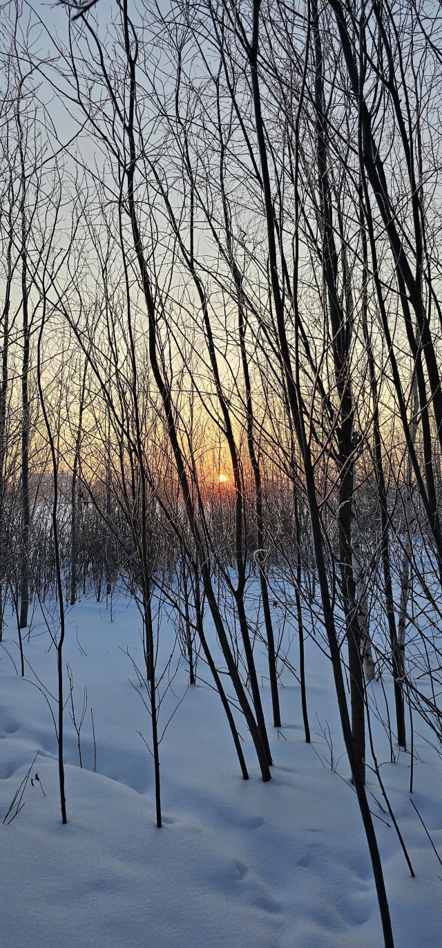 Красивое фото из телефона