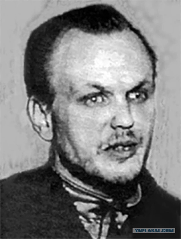 Криминалист раскрыл, освободят ли серийного убийцу Максима Владимировича Петрова по УДО.