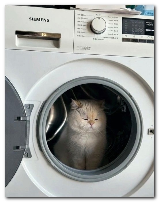 Грустненький астронавт