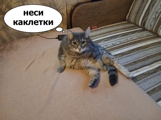 К котовторнику: подборка картинок-баянов с котиками и про котиков. Выпуск 10