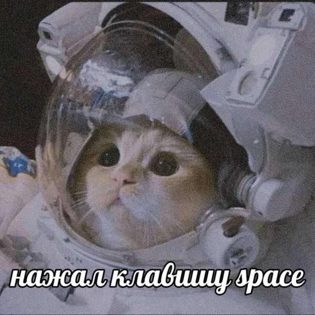 Прикольные и просто красивые картинки 18.07.2025