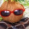 Литературный конкурс "КОКОС" 2025