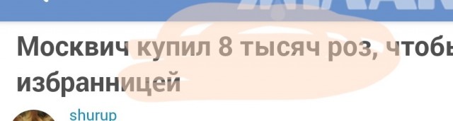 Москвич купил 8 тысяч роз, чтобы извиниться перед своей избранницей