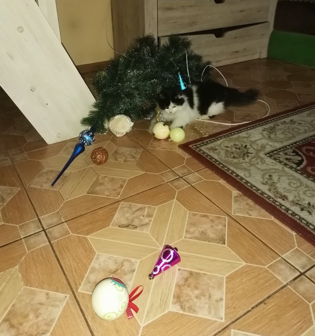 Скоро начнётся то самое прекрасное время