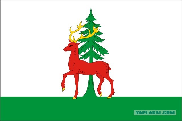 Флаг города РФ