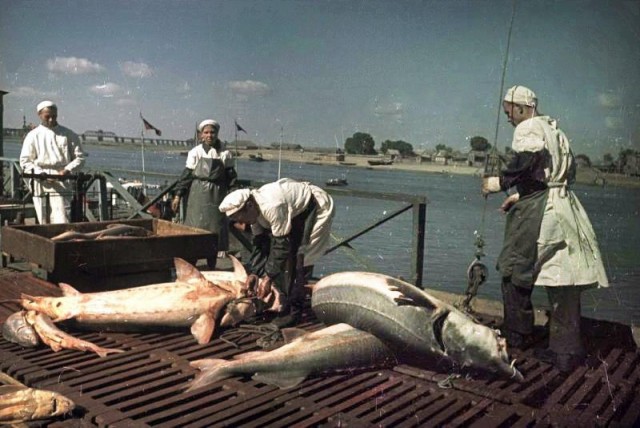 ​ Фотографии из прошлого нашей страны – 143