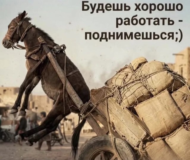 Картинки для деградации 199 (разной степени свежести)