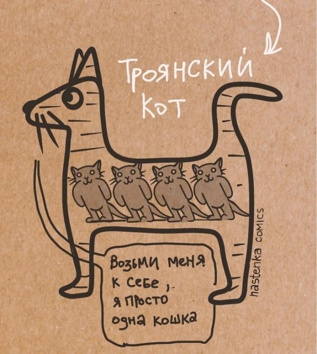 Пара слов про котиков и людей.