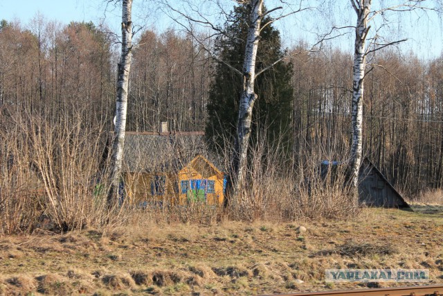 Беларусь из окна электрички