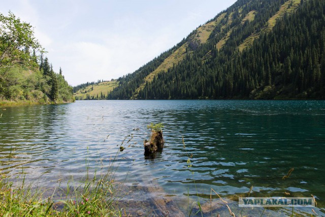 Озеро Каинды - Утонувший лес