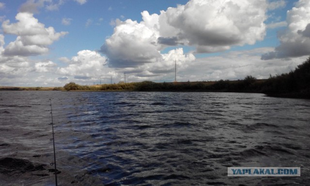 Последнее фото с Вашего телефона.