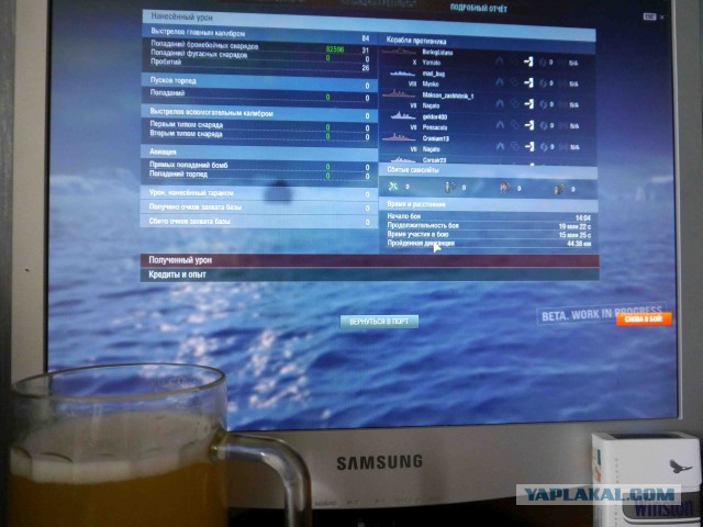 Wargaming 21