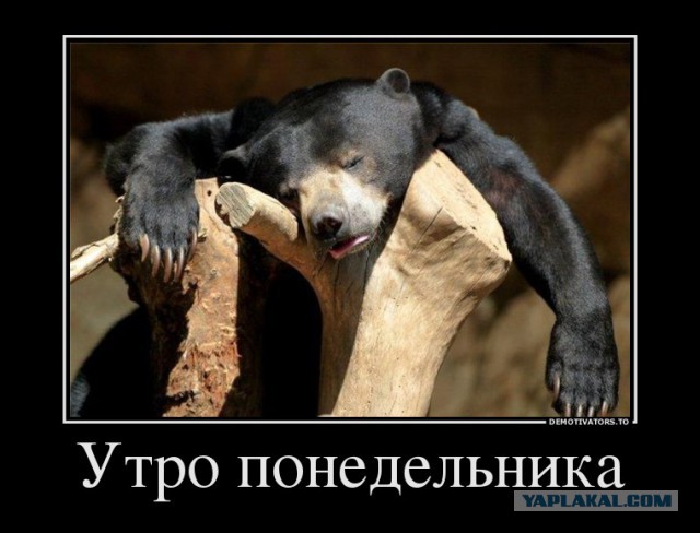 Сово-понедельнег