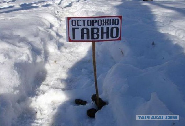Кажется кто-то не доволен работой коммунальщиков..