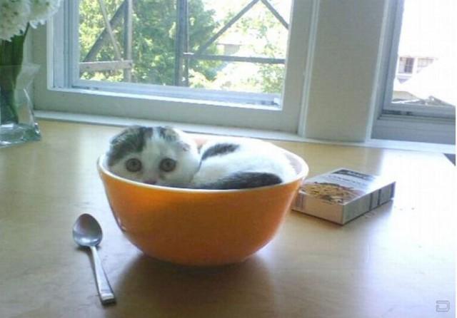 Фотоподборка очень удобных кастрюль