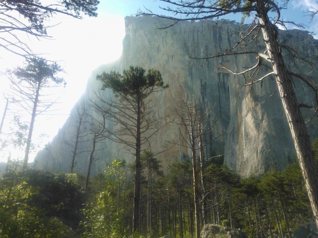 Крым - начало лета 2015