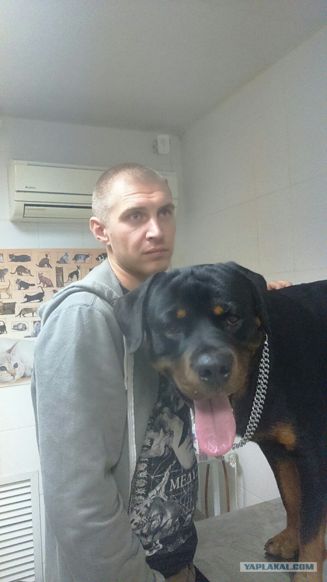 Четверг? тогда собакены