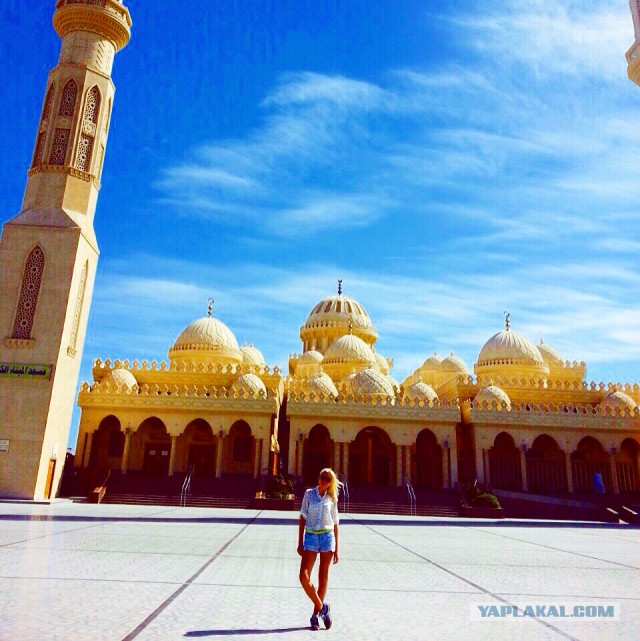 CrewTrip или отдых стюардессы между полетами