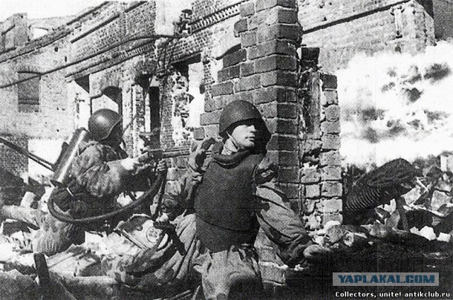 Подвиг Александра Матросова