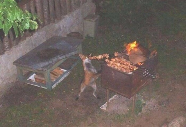 Фотки всякие разные на пятницу..