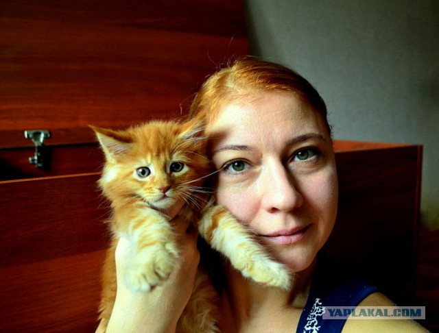 Джокер и его семья